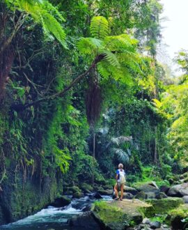 Hiking in Bali: Explore Nature's Wonders